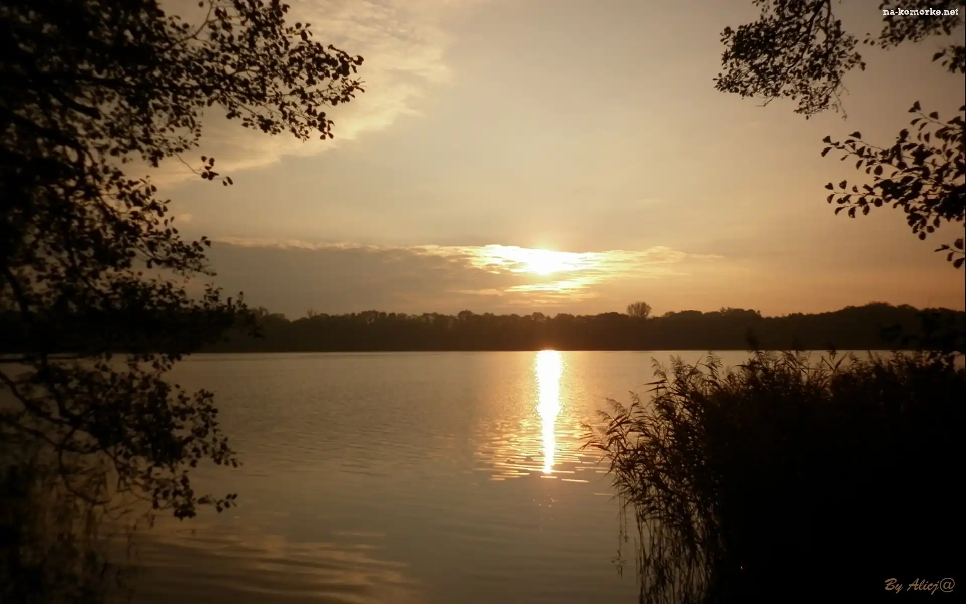 Jezioro, Szuwary, Zachód, Słońca
