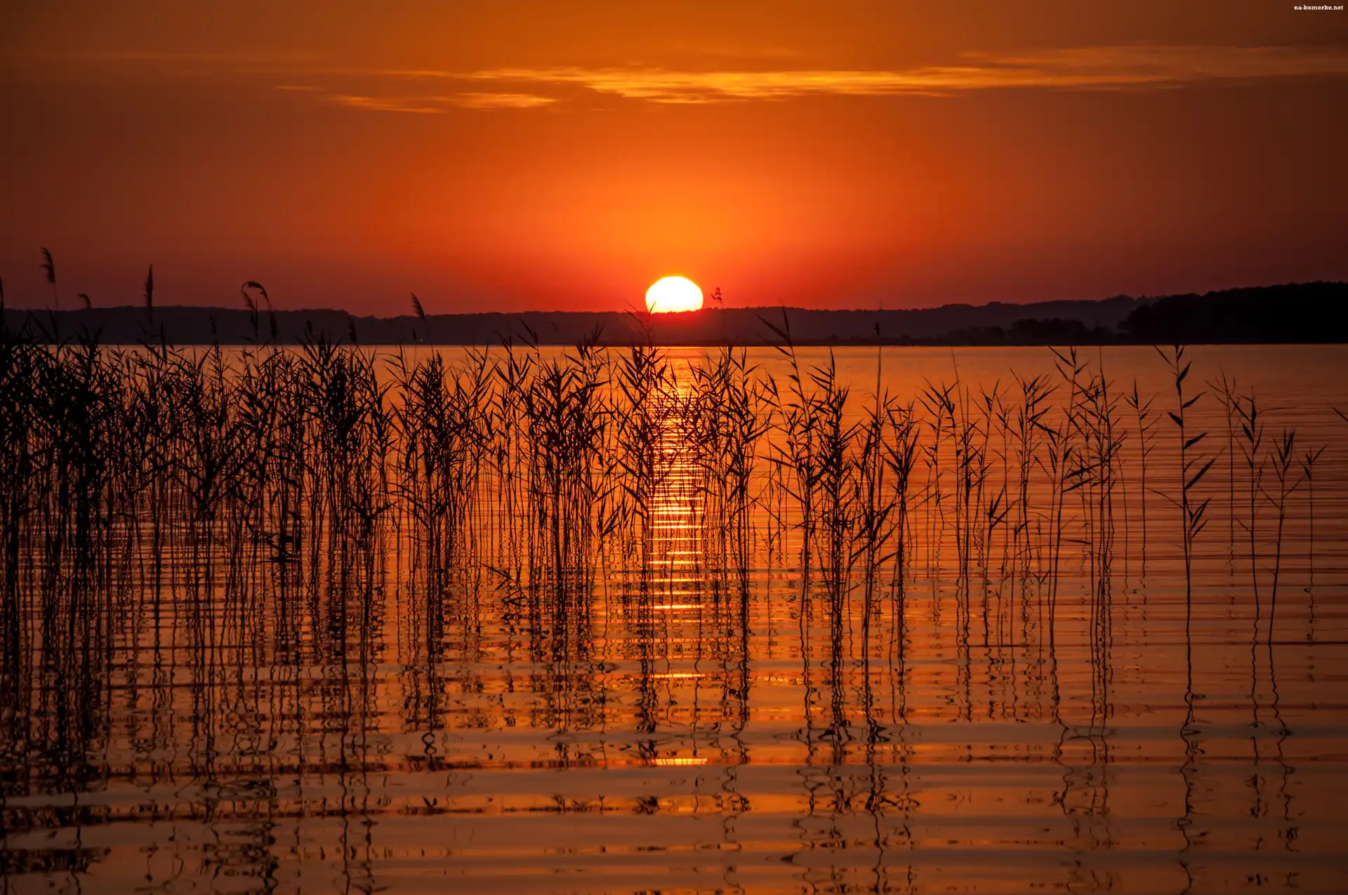Jezioro, Trzciny, Zachód, Słońca