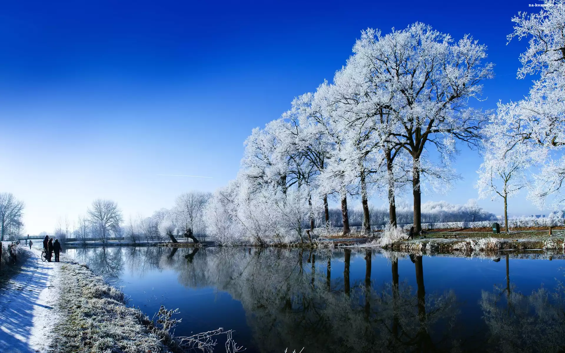 Zima, Jezioro, Drzewa
