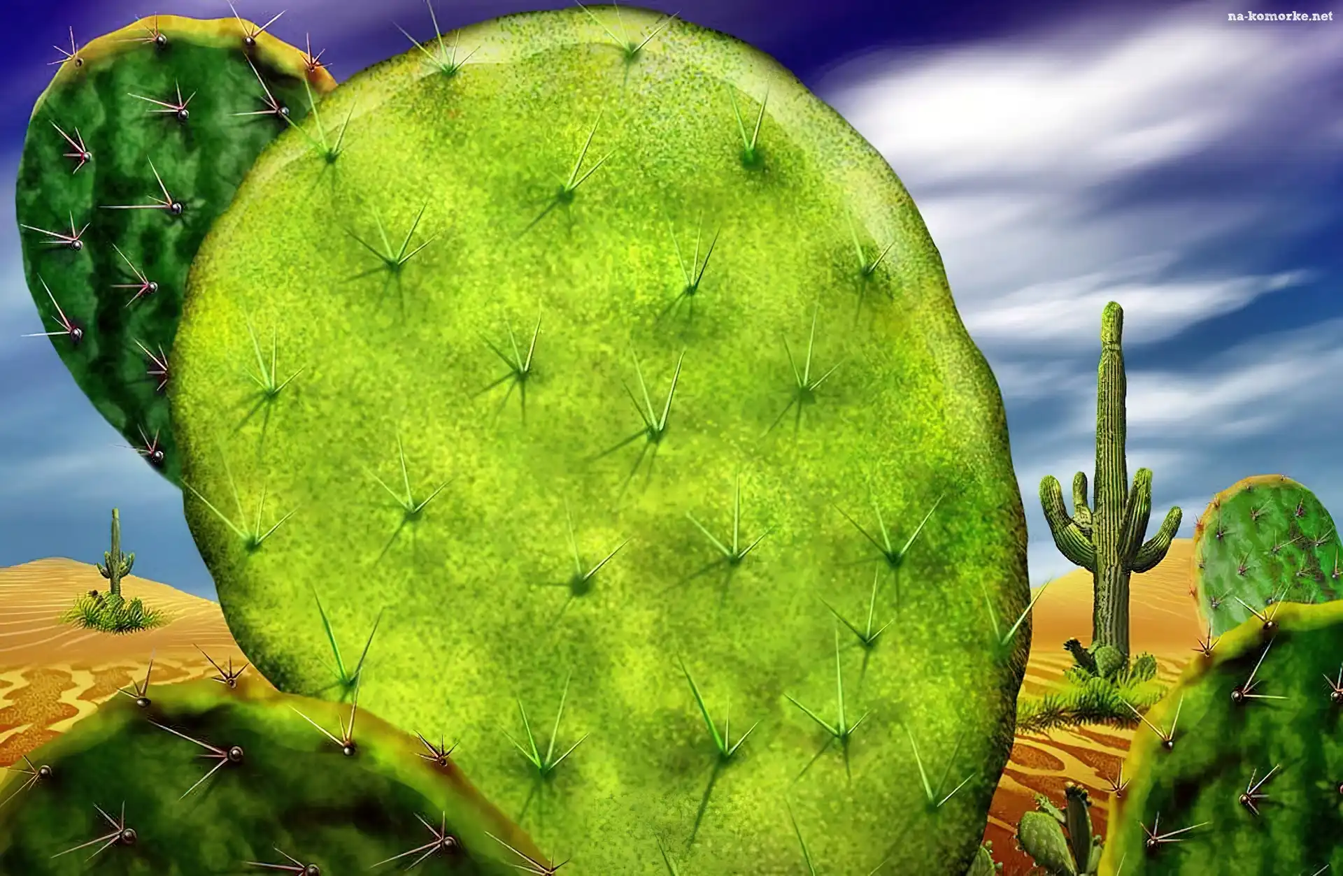 Kaktus, Pustynia