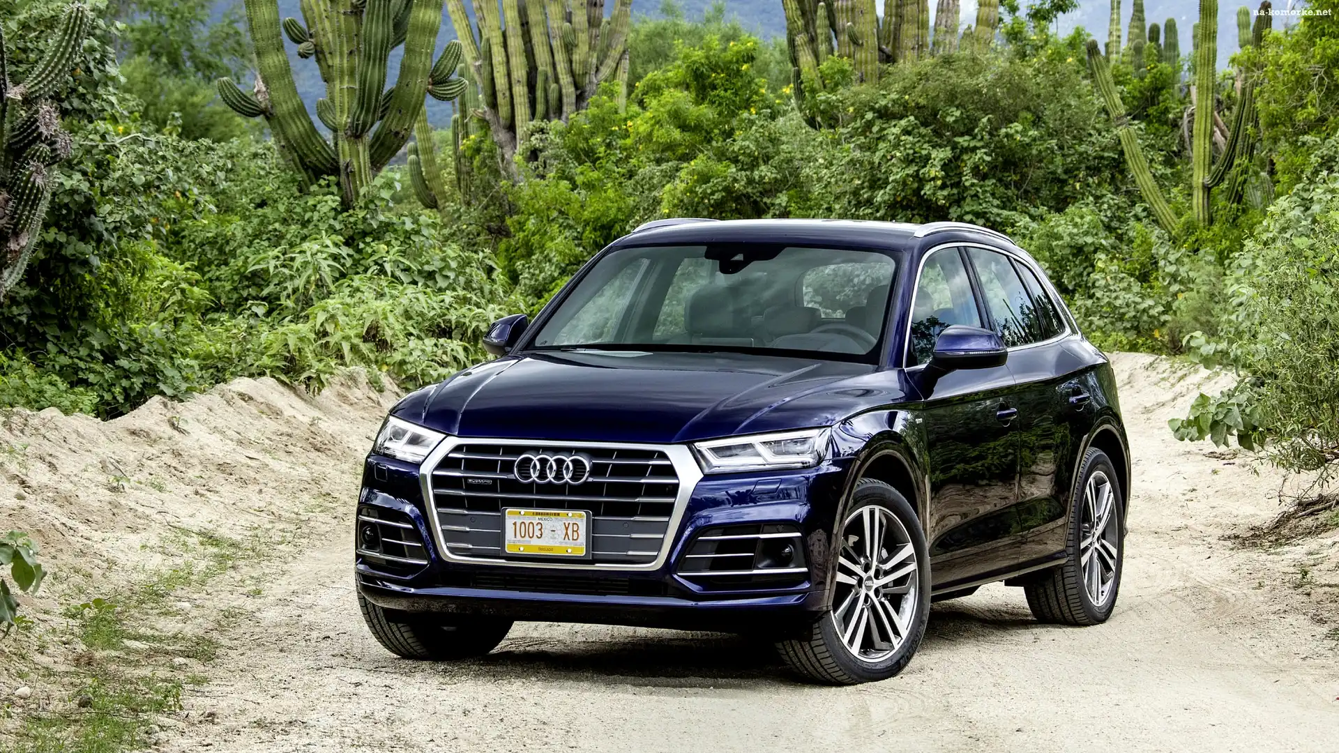 Audi Q5 TFSI Quattro SUV Navarra Blue, 2017, Kaktusy