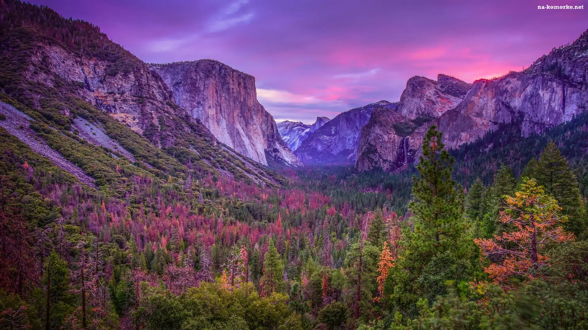 Dolina Yosemite Valley, Stan Kalifornia, Jesień, Stany Zjednoczone, Park Narodowy Yosemite, Góry, Drzewa, Lasy