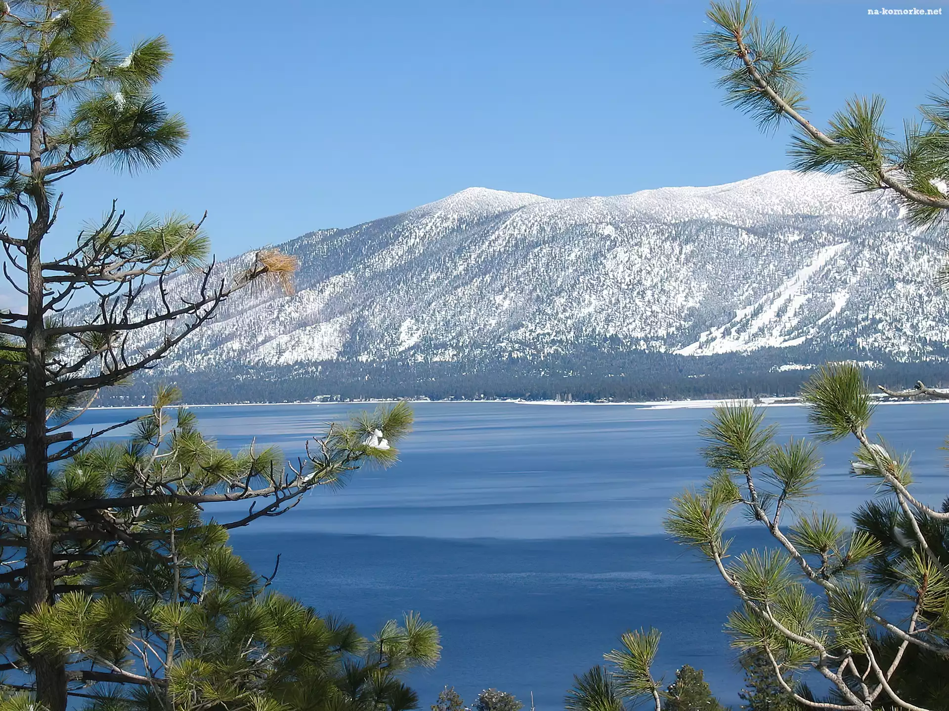 Kalifornia, Jezioro, Drzewo, Góry, Tahoe