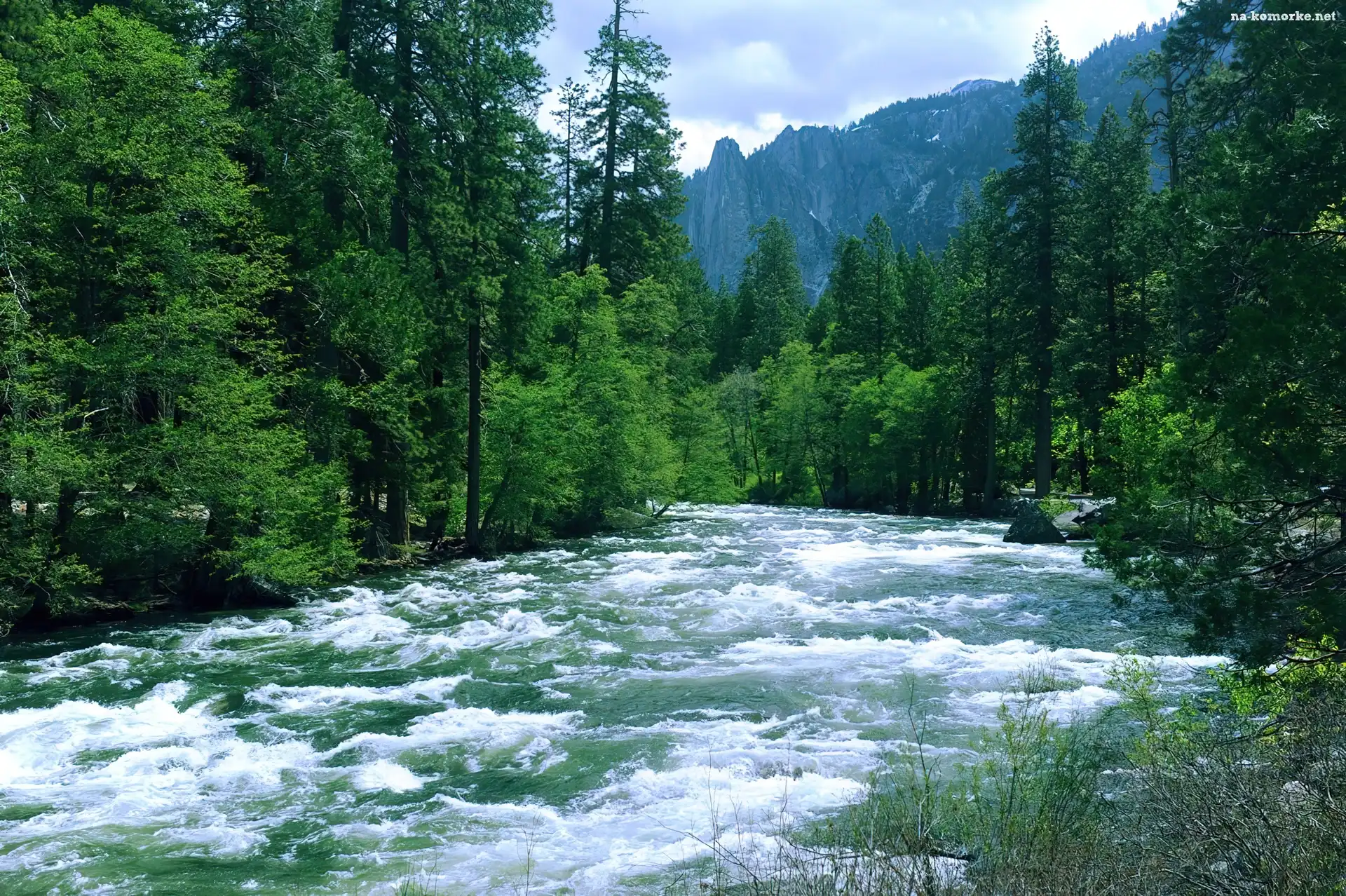 Kalifornia, Rzeka, Las, Góry, Yosemite