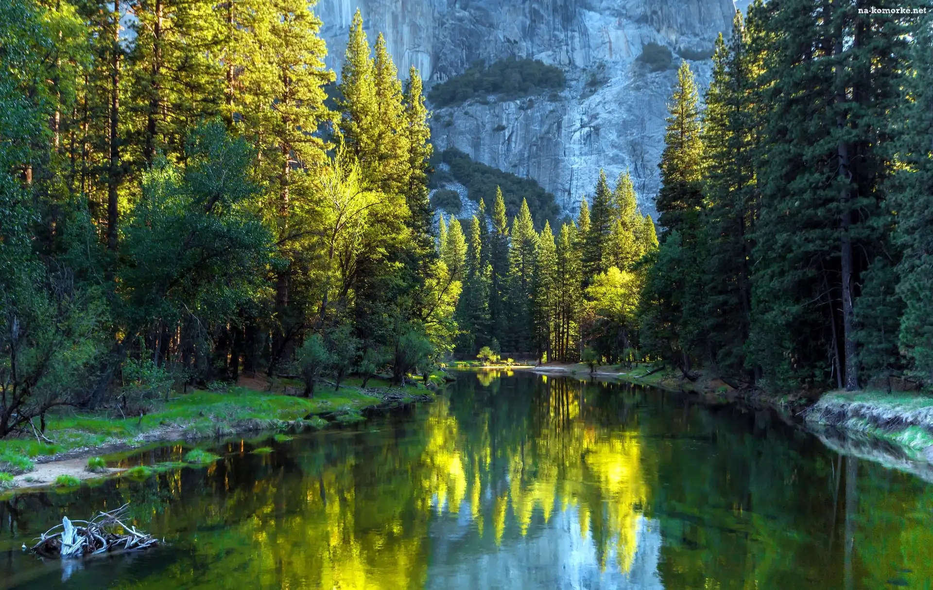 Góry, Kalifornia, Park Narodowy Yosemite, Rzeka, USA, Las