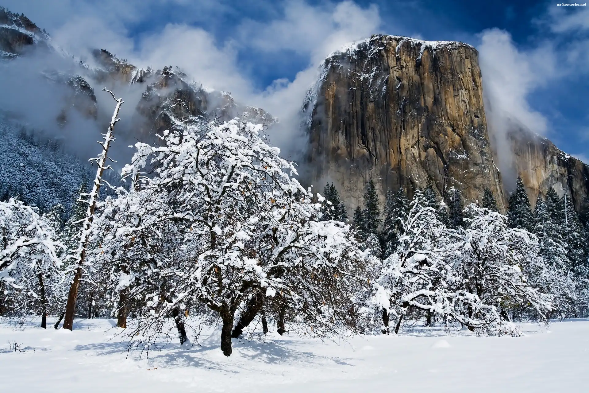 Kalifornia, El Capitan, Park, Narodowy, Yosemite