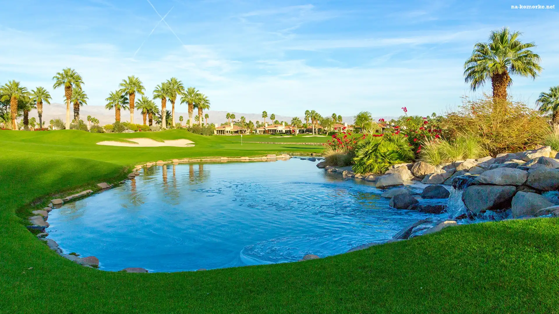 Pole golfowe, Kalifornia, Stany Zjednoczone, Staw, Kamienie, Palmy, Miejscowość Palm Springs