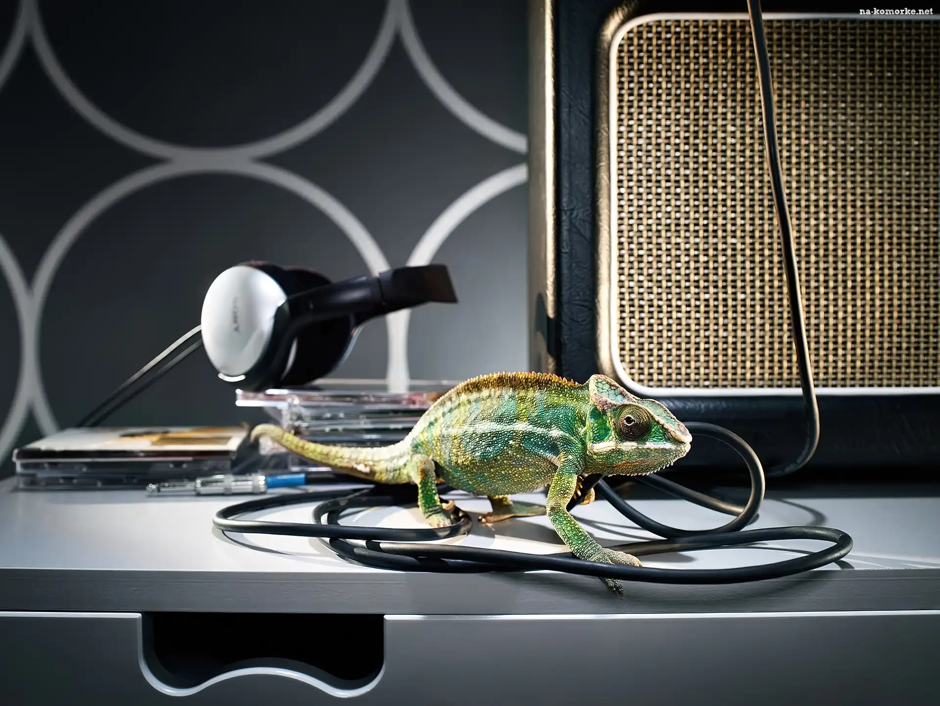 Kameleon, Kabel, Słuchawki, Płyty