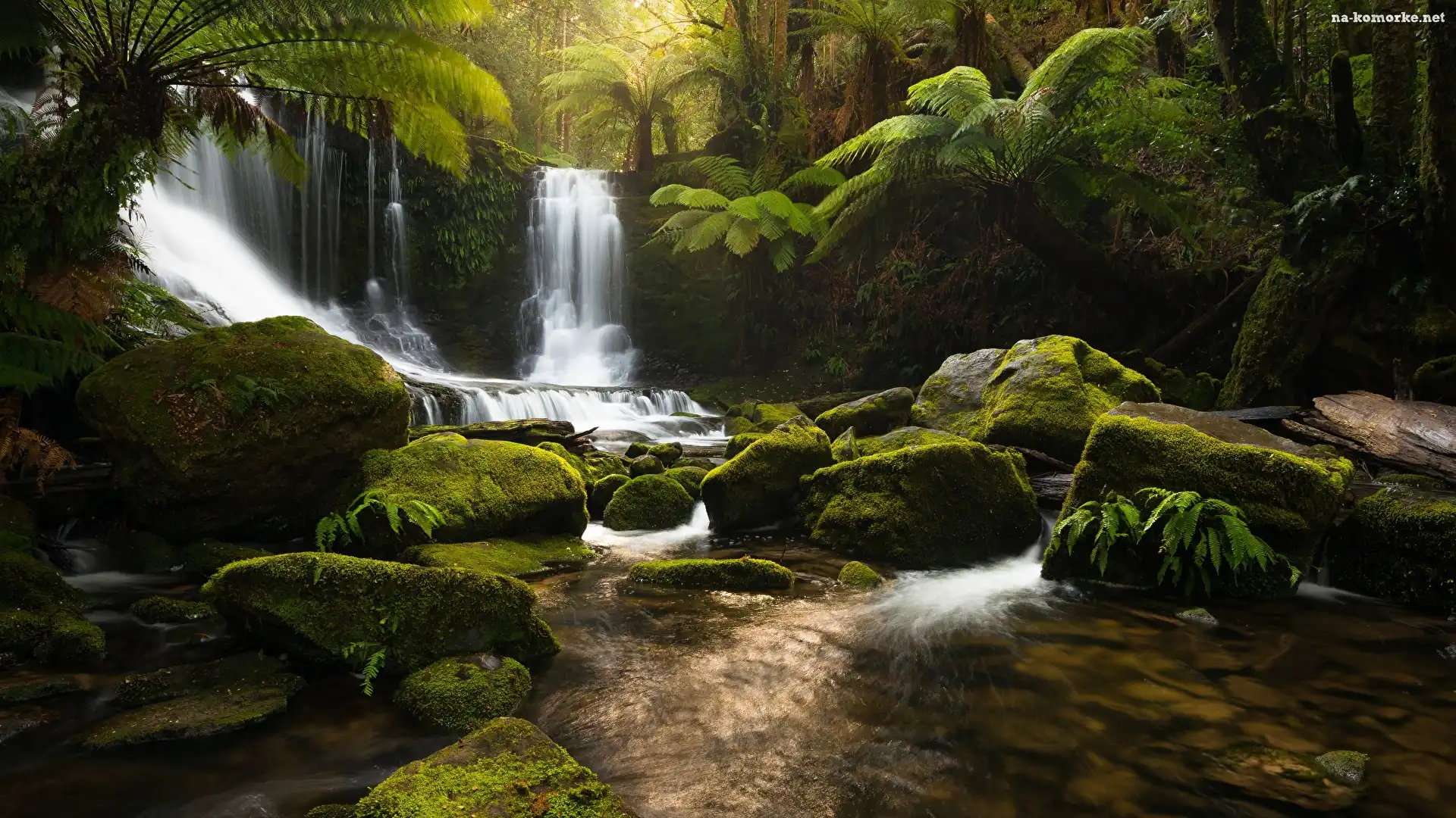 Wodospad, Tasmania, Australia, Roślinność, Park Narodowy Mount Field, Kamienie