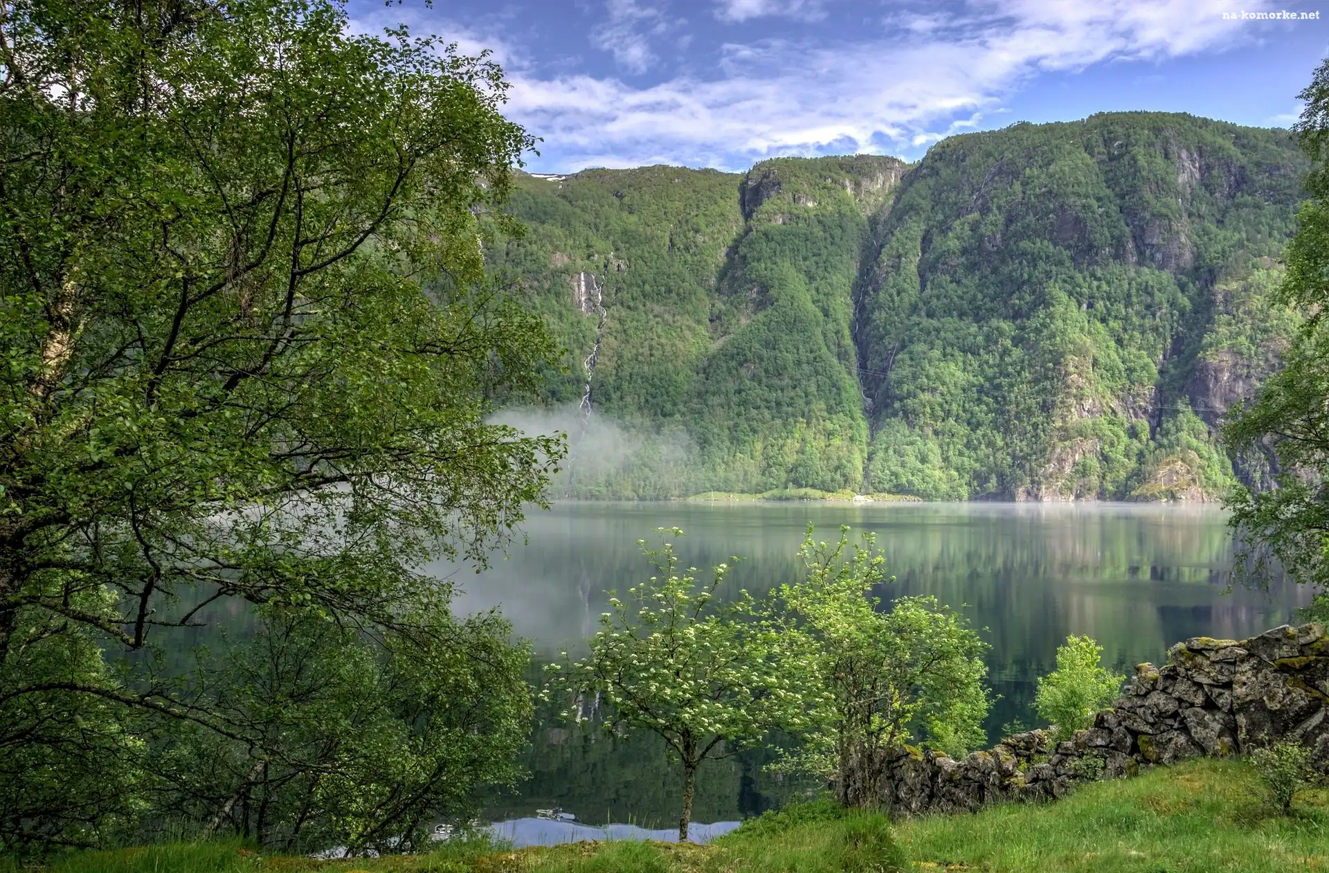 Kamienie, Jezioro, Góry, Drzewa, Roślinność