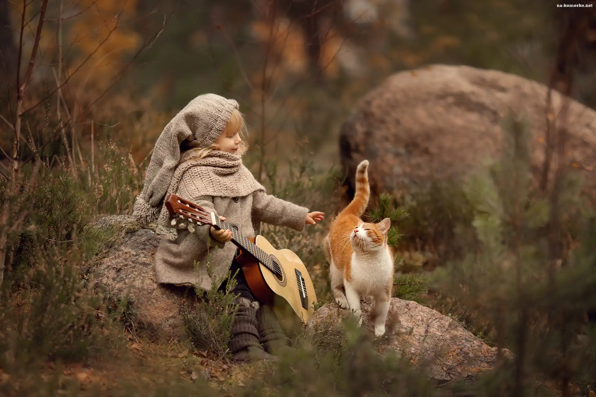 Kamienie, Jesień, Dziewczynka, Gitara, Kot