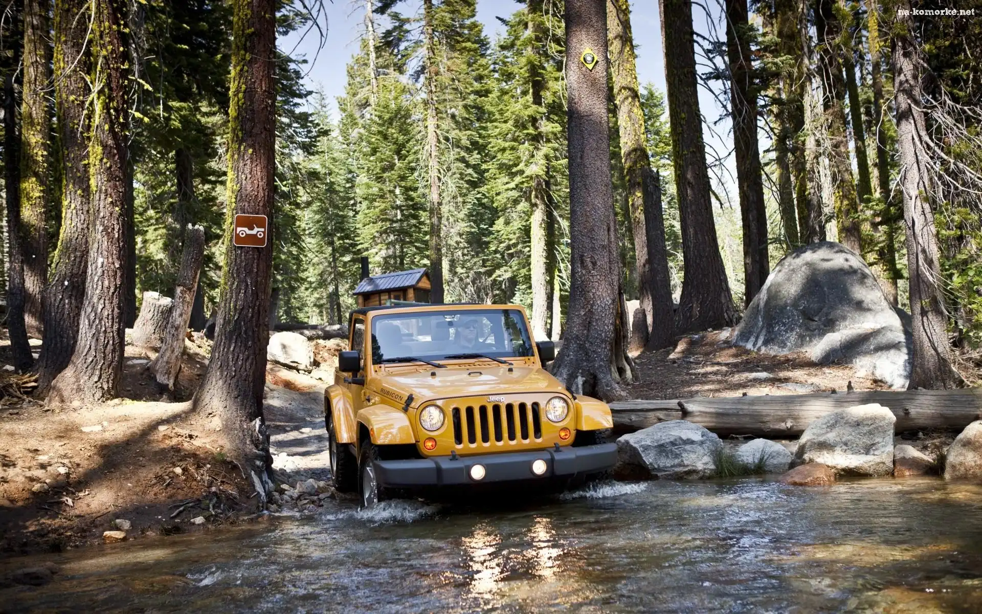 Kamienie, Jeep, Wrangler, Las, Bagna