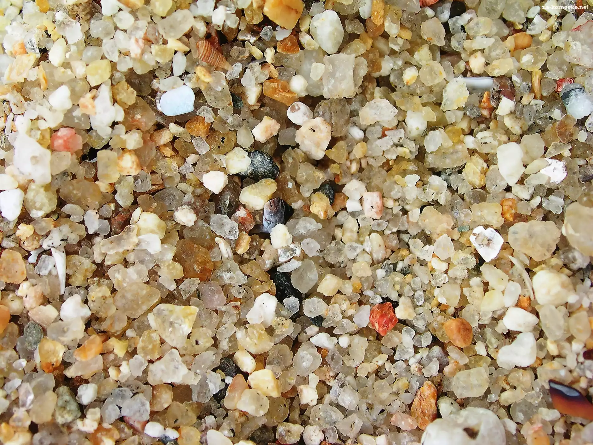Kamienie, Plaża