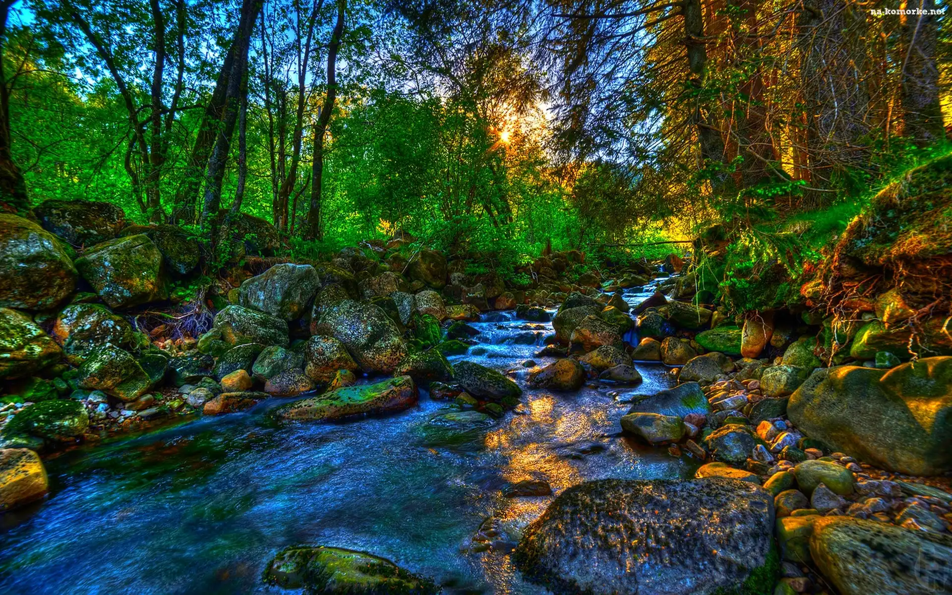 Rzeka, Kamienie, Las