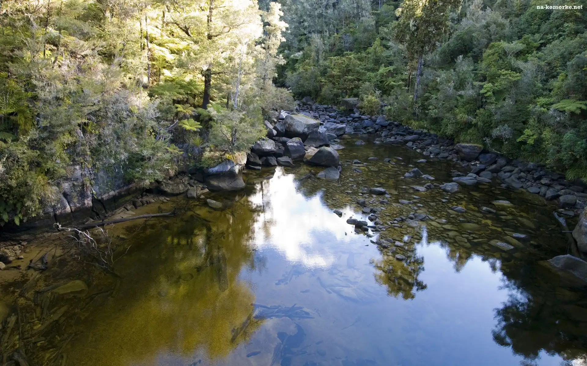 Rzeka, Kamienie, Las