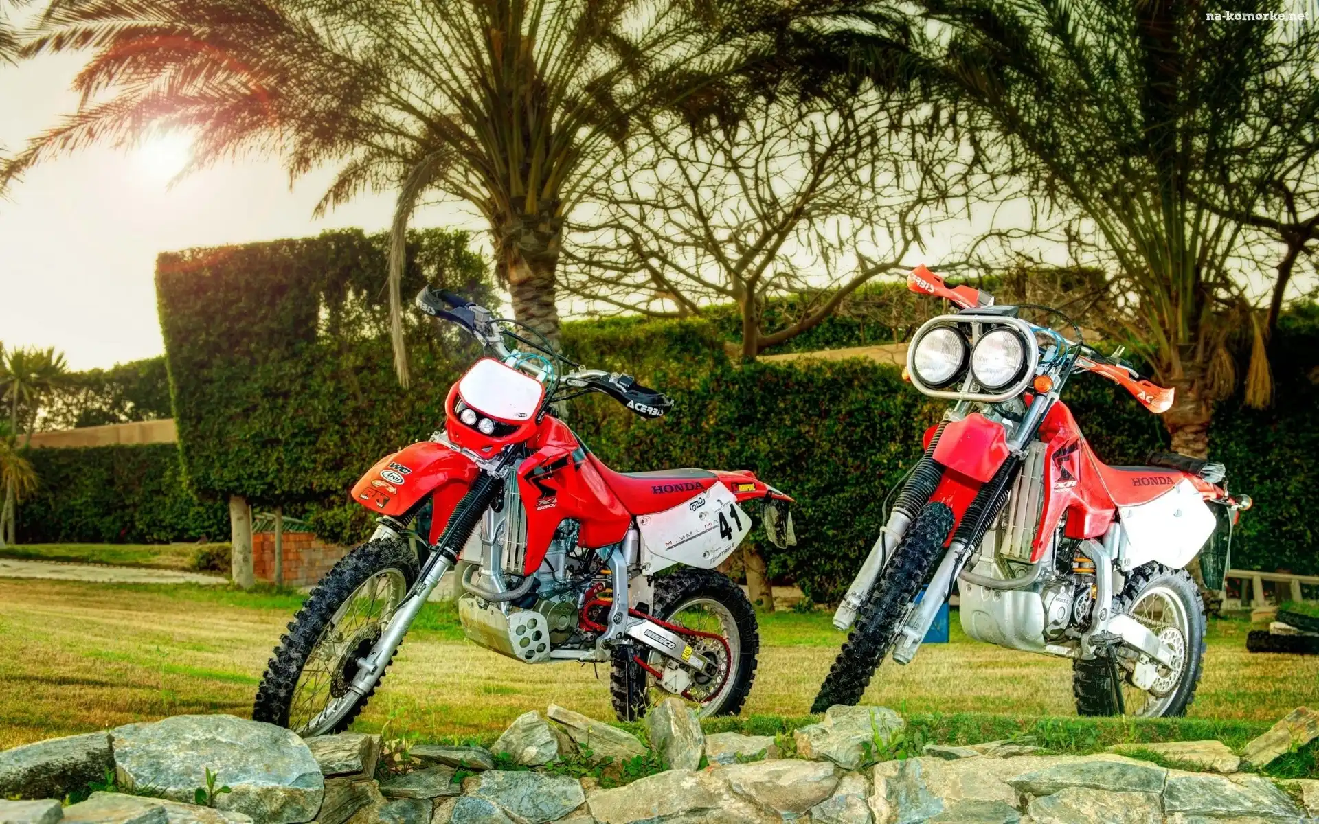 Kamienie, Dwa, Motocykle, Honda XR, Palmy