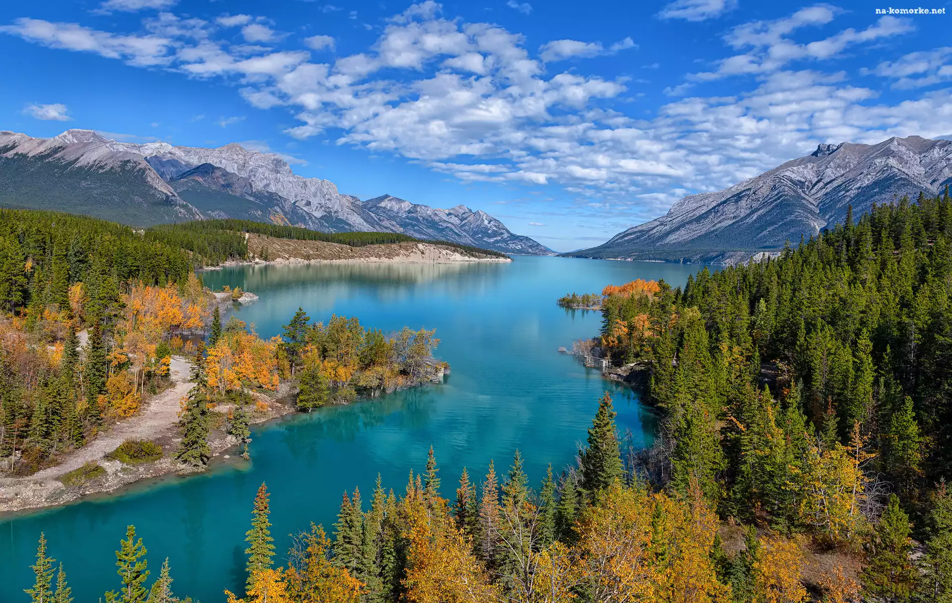 Jezioro, Alberta, Lasy, Góry Skaliste, Drzewa, Kanada, Abraham Lake, Canadian Rockies