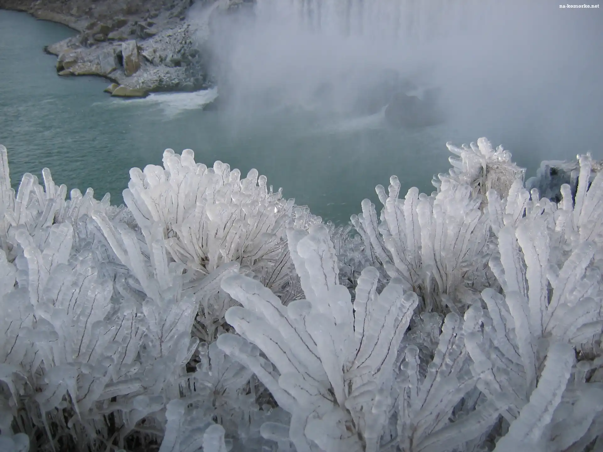Kanada, Zima, Oblodzone, Krzaczki, Niagara