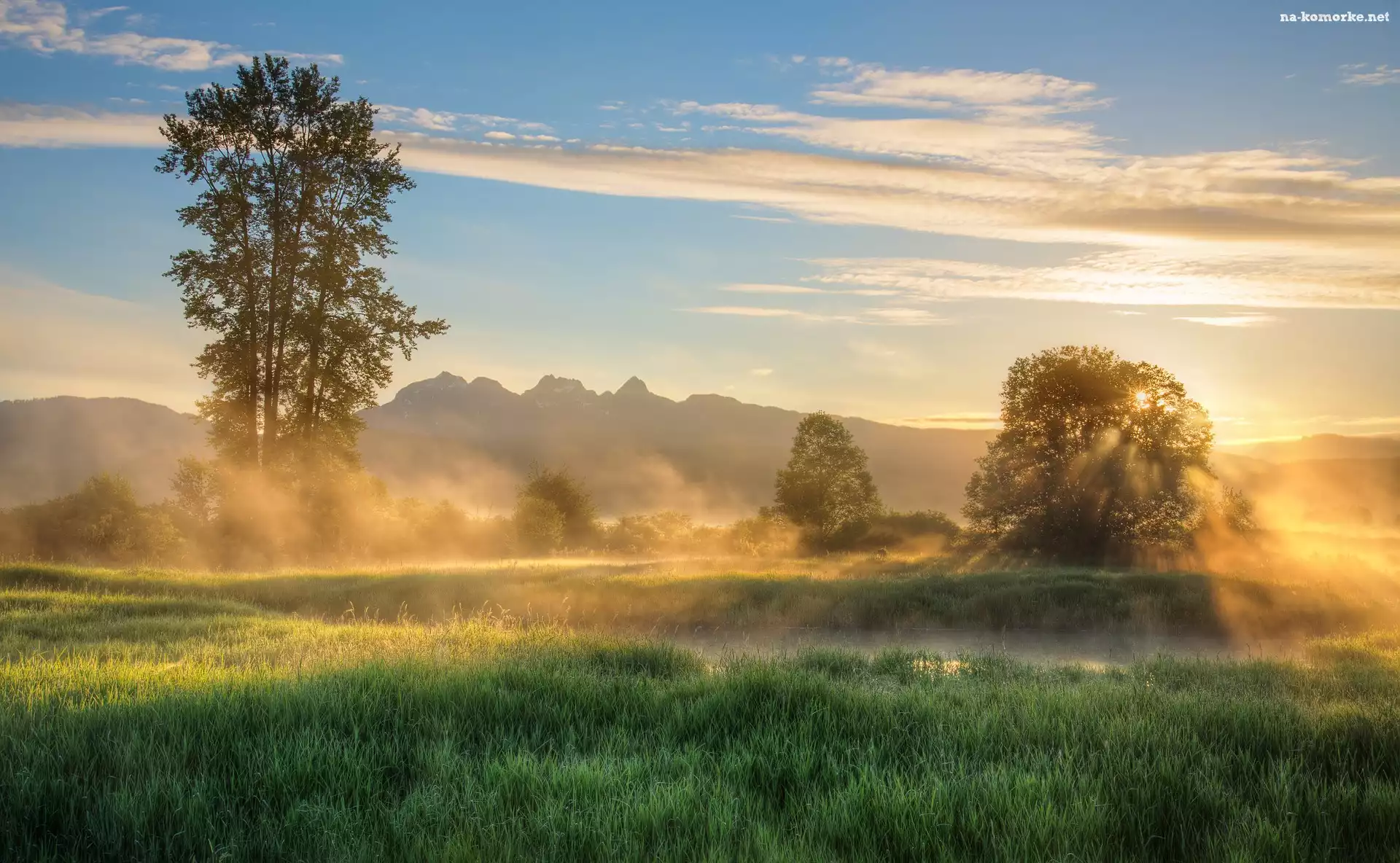 Kanada, Wschód słońca, Maple Ridge, Wzgórza, Kolumbia Brytyjska, Jerry Sulina Park, Drzewa, Mgła