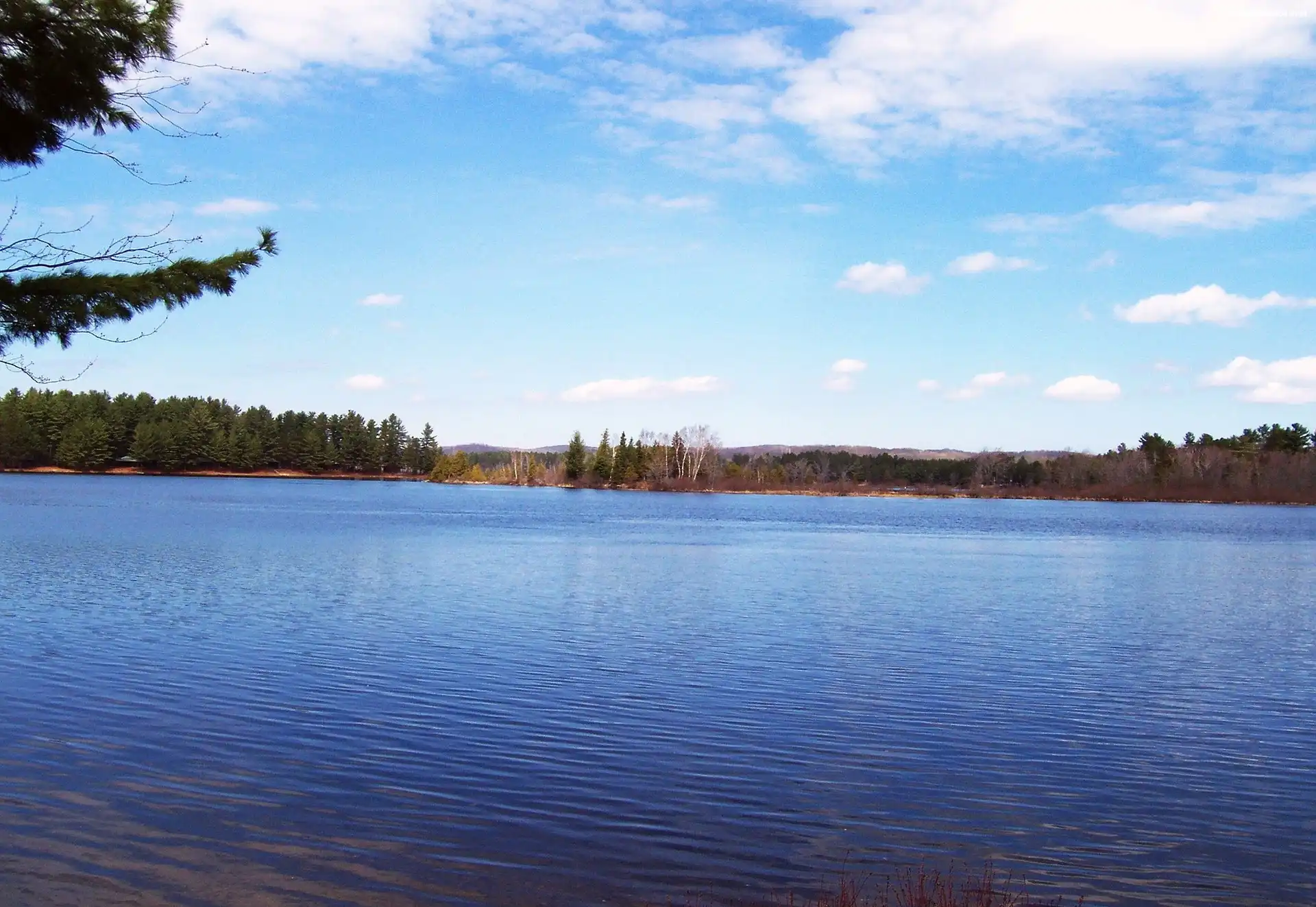 Kanada, Simcoe, Jezioro, Niebo, Ontario, Drzewa