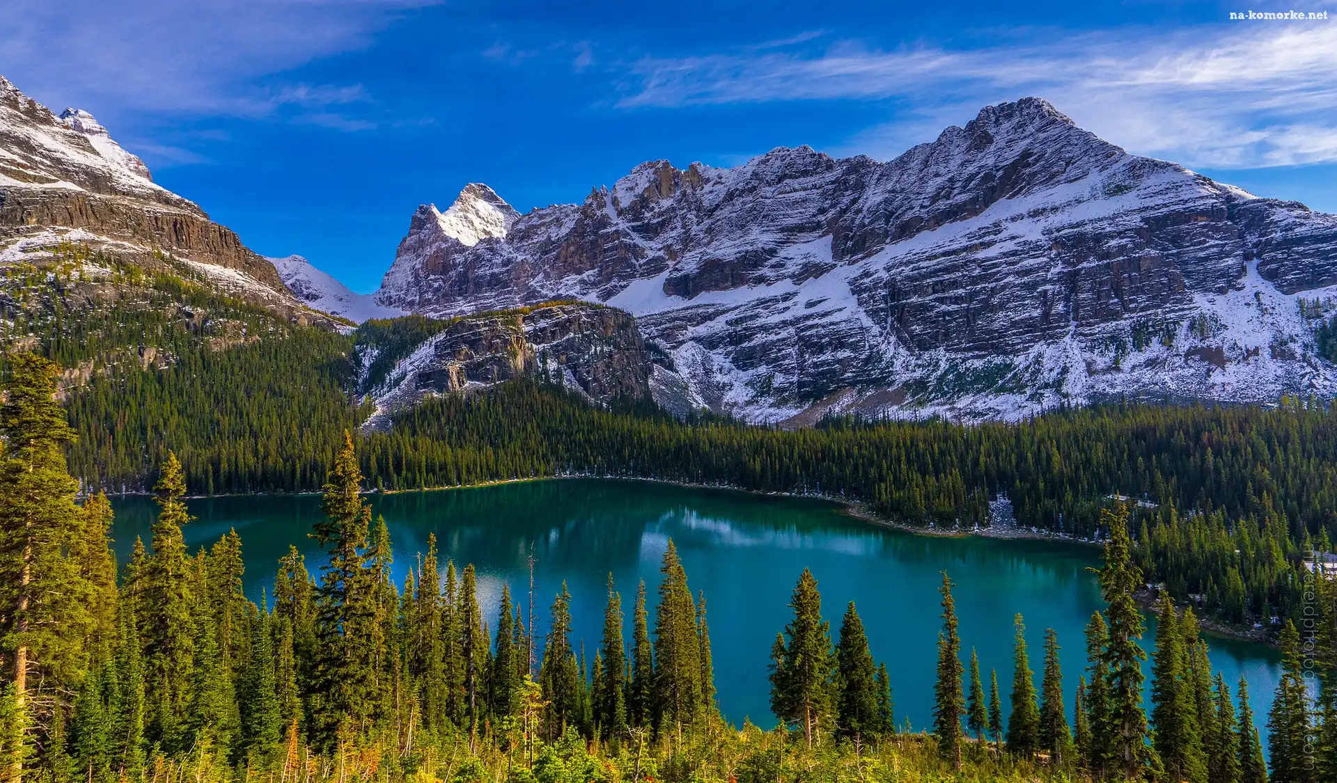 Park Narodowy Yoho, Las, Góry, Kanada, Jezioro O Hara, Prowincja Kolumbia Brytyjska