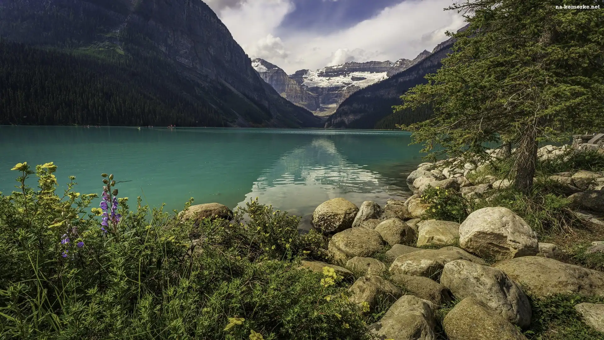 Lake Louise, Kwiaty, Drzewo, Góry, Kamienie, Kanada, Park Narodowy Banff, Jezioro