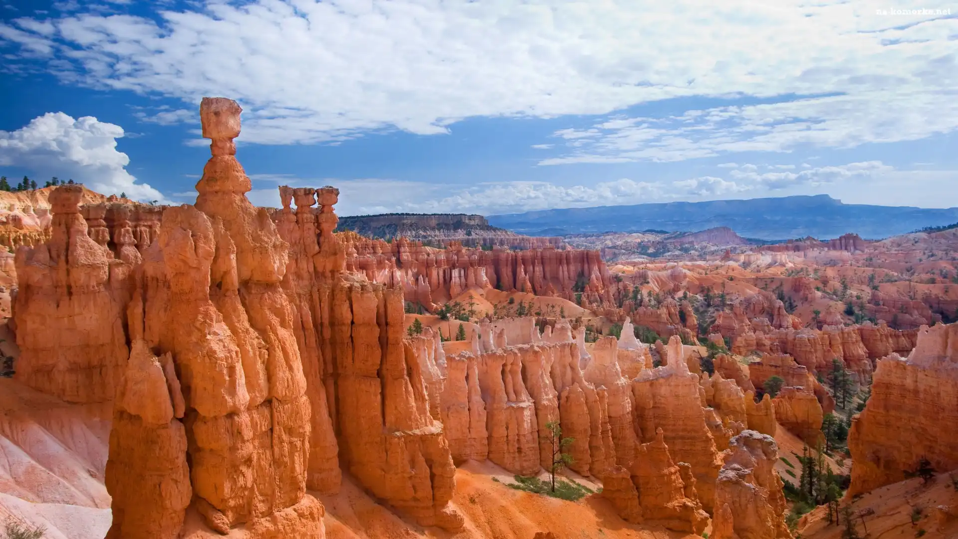 Skały, Stany Zjednoczone, Stan Utah, Park Narodowy Bryce Canyon, Kanion