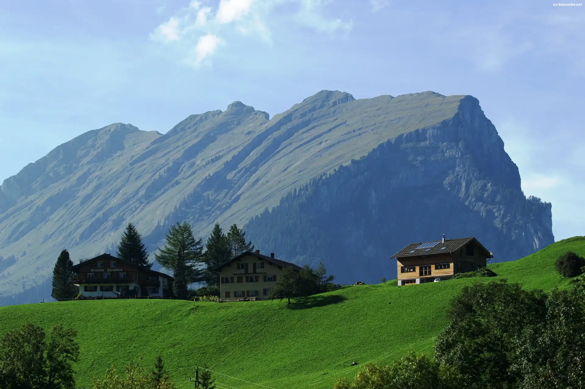 Kanisfluh, Domy, Austria, Łąka