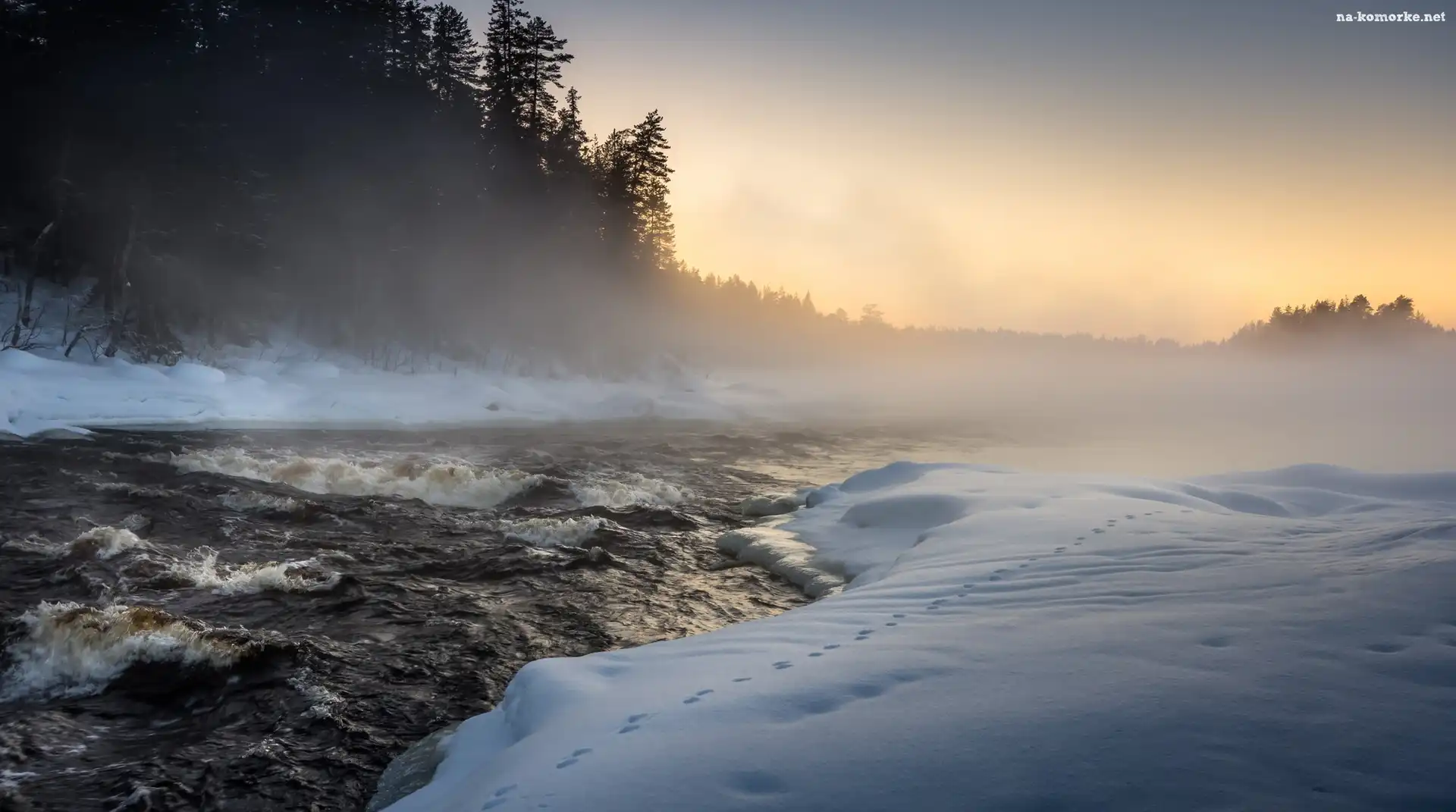 Finlandia, Mgła, Miasto Lieksa, Drzewa, Karelia Północna, Ruunaa, Rzeka Neitikoski Rapid, Zima