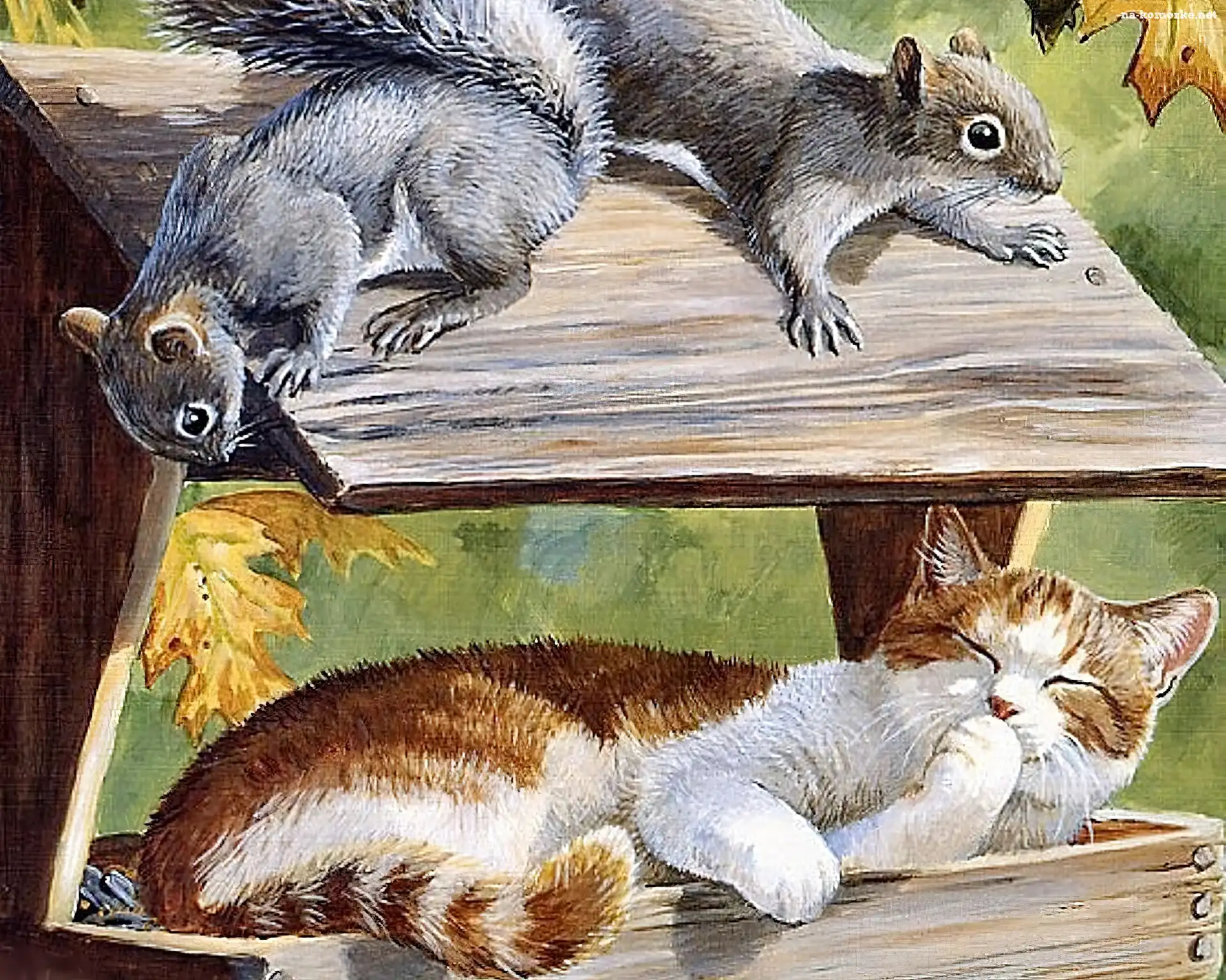Karmnik, Malarstwo, Kot, Wiewiórki