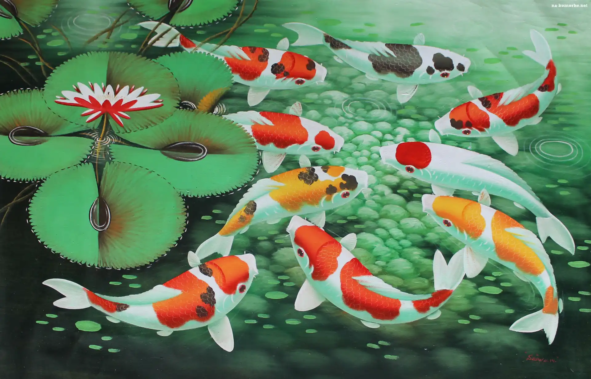 Karpie, Grafika, Koi, Staw