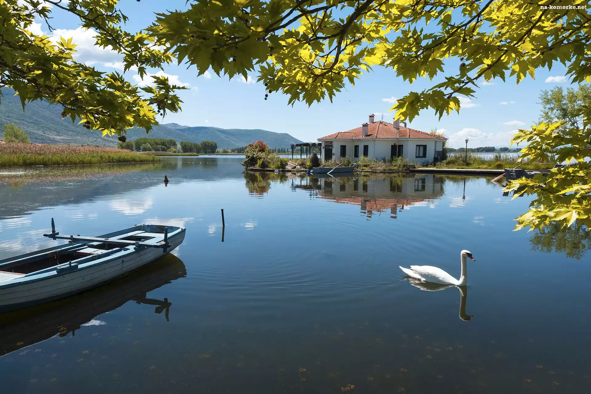 Łódka, Dom, Jezioro Kastoria, Łabędź, Grecja