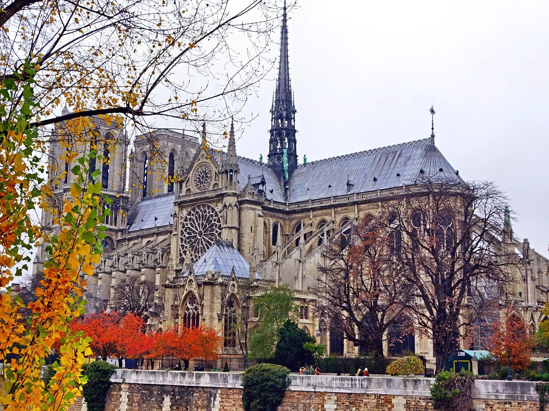 Katedra, Francja, Notre Dame, Paryż