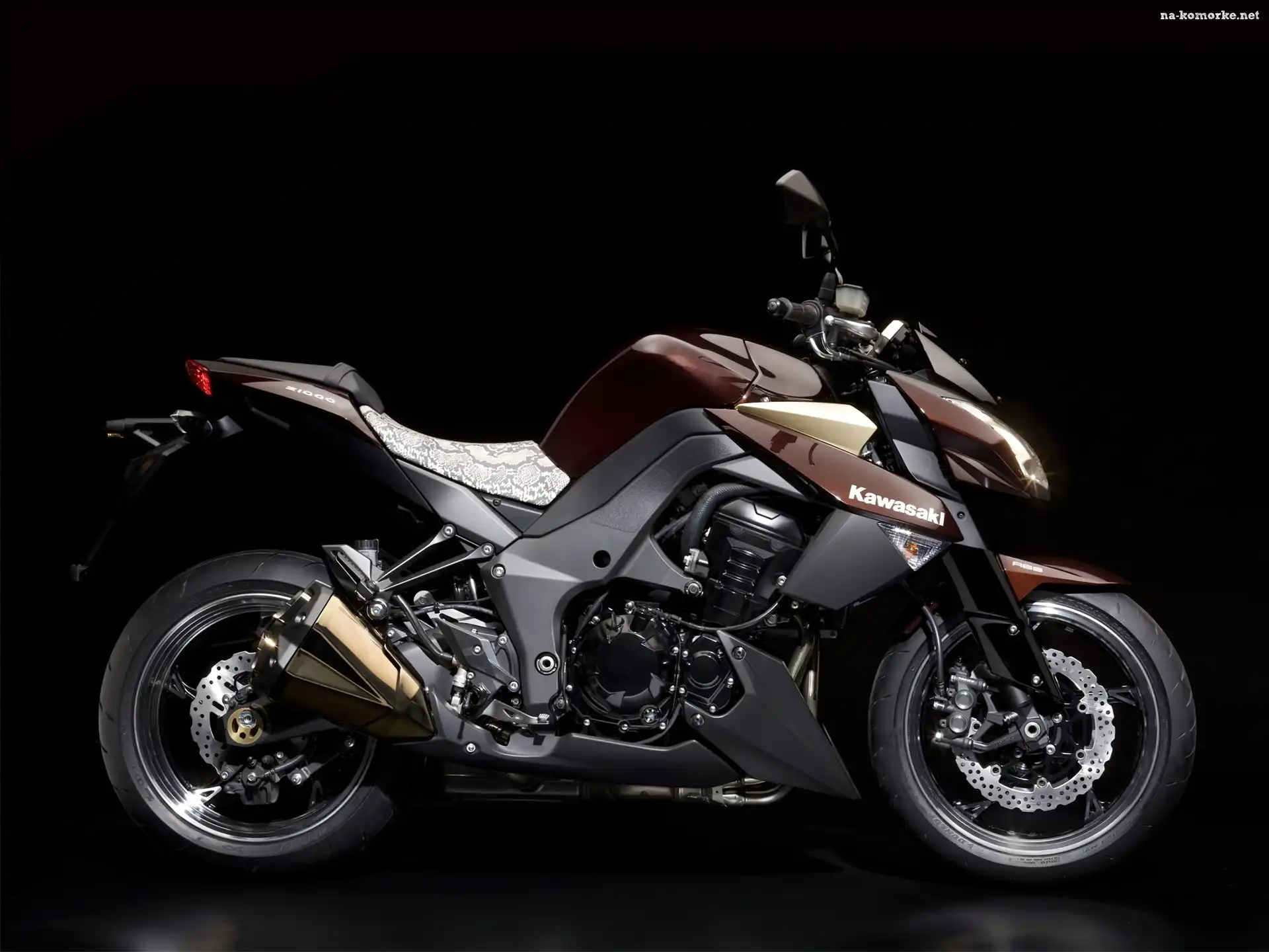 Kawasaki Z1000, Naked, Tłumik