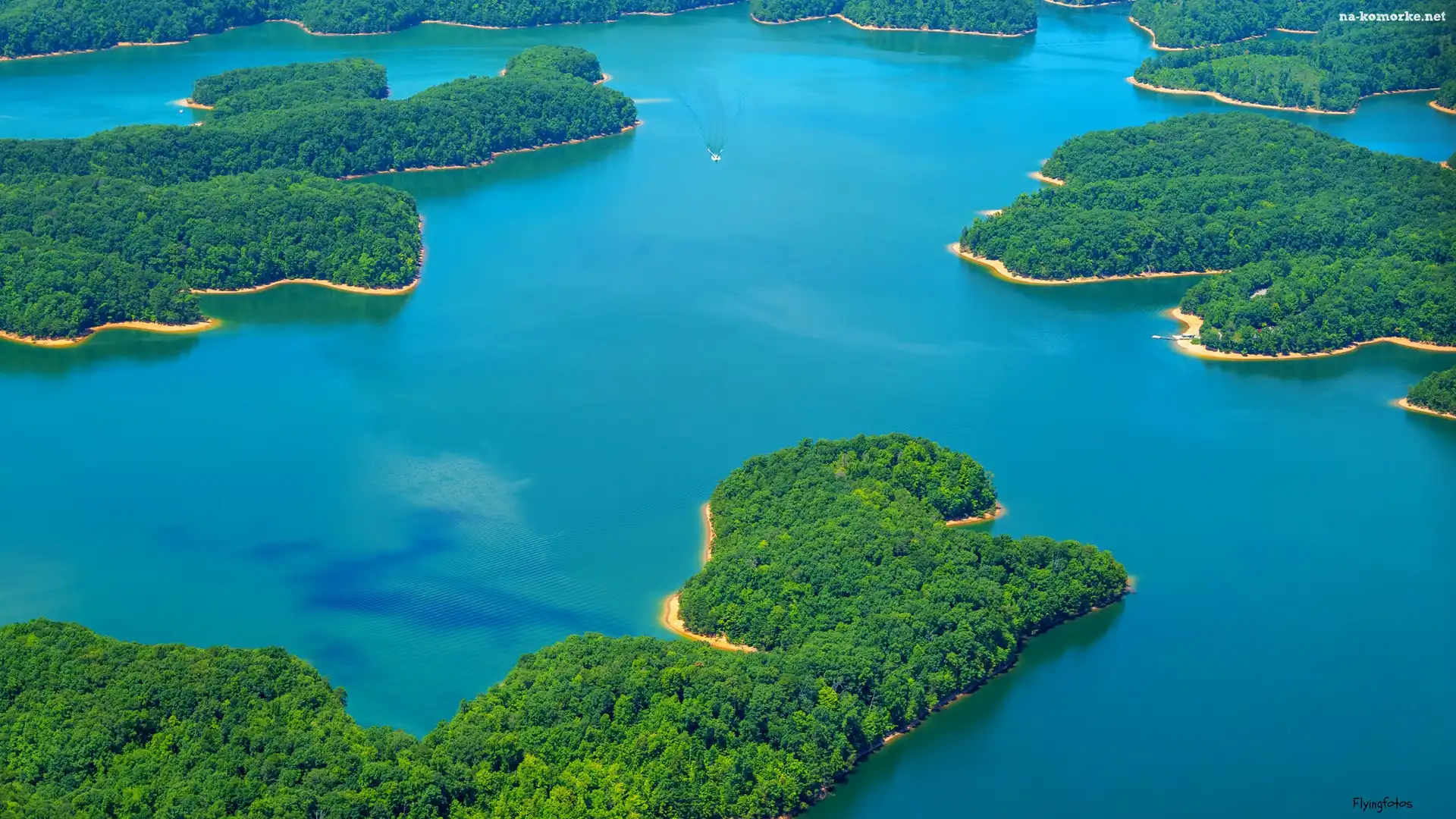 Kentucky, Jezioro, Półwyspy, Stany Zjednoczone, Zadrzewione, Laurel River Lake