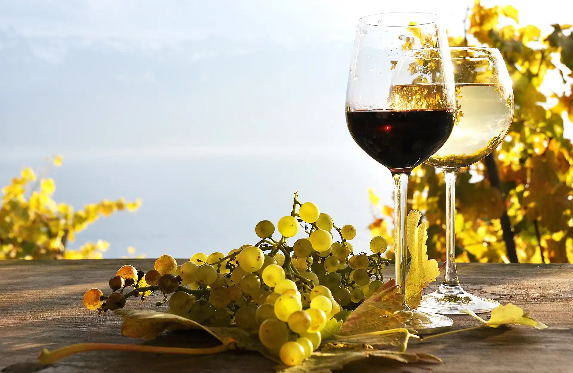 Winogrona, Kieliszki, Wino
