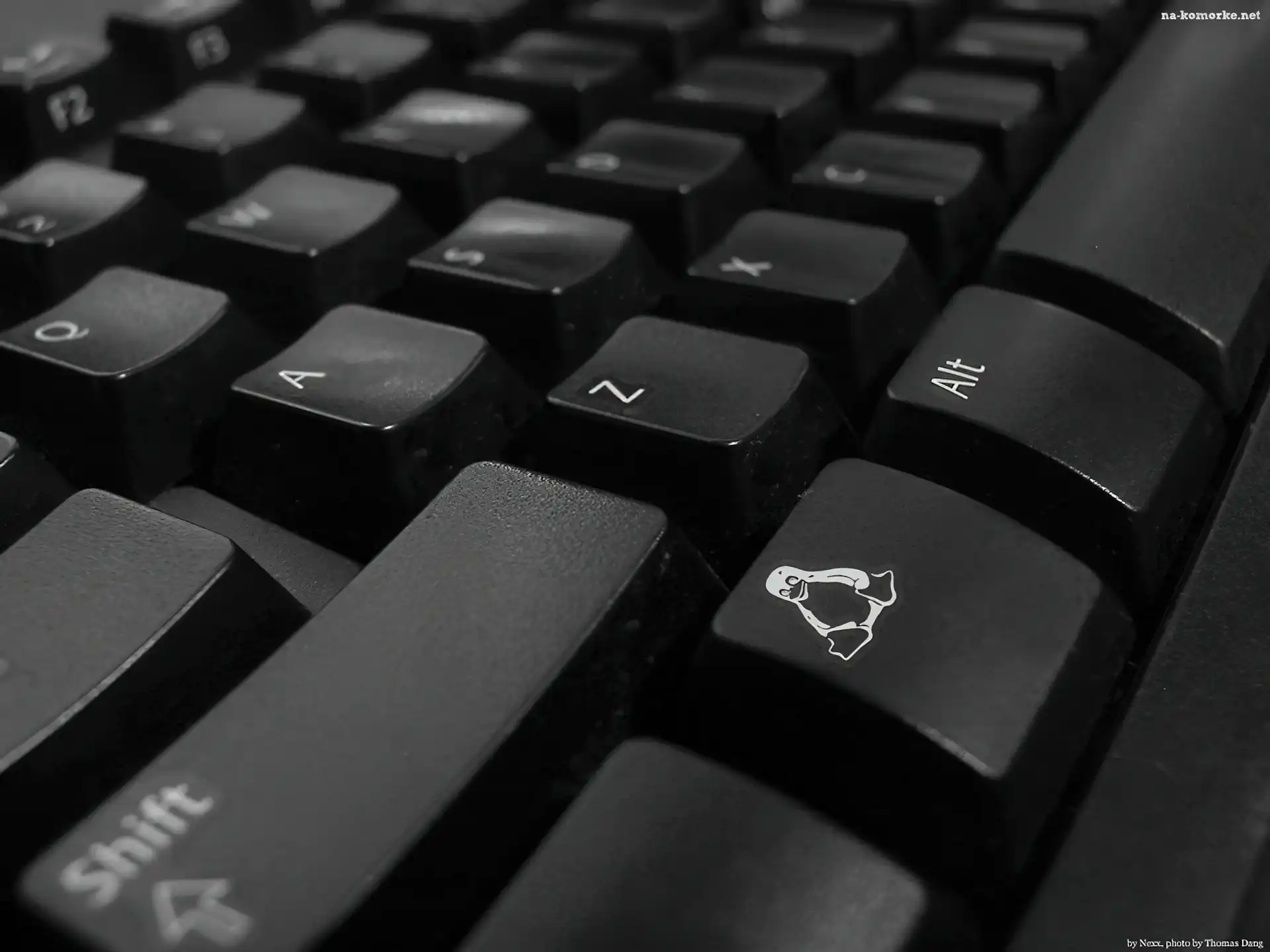 pingwin, klawiatura, Linux