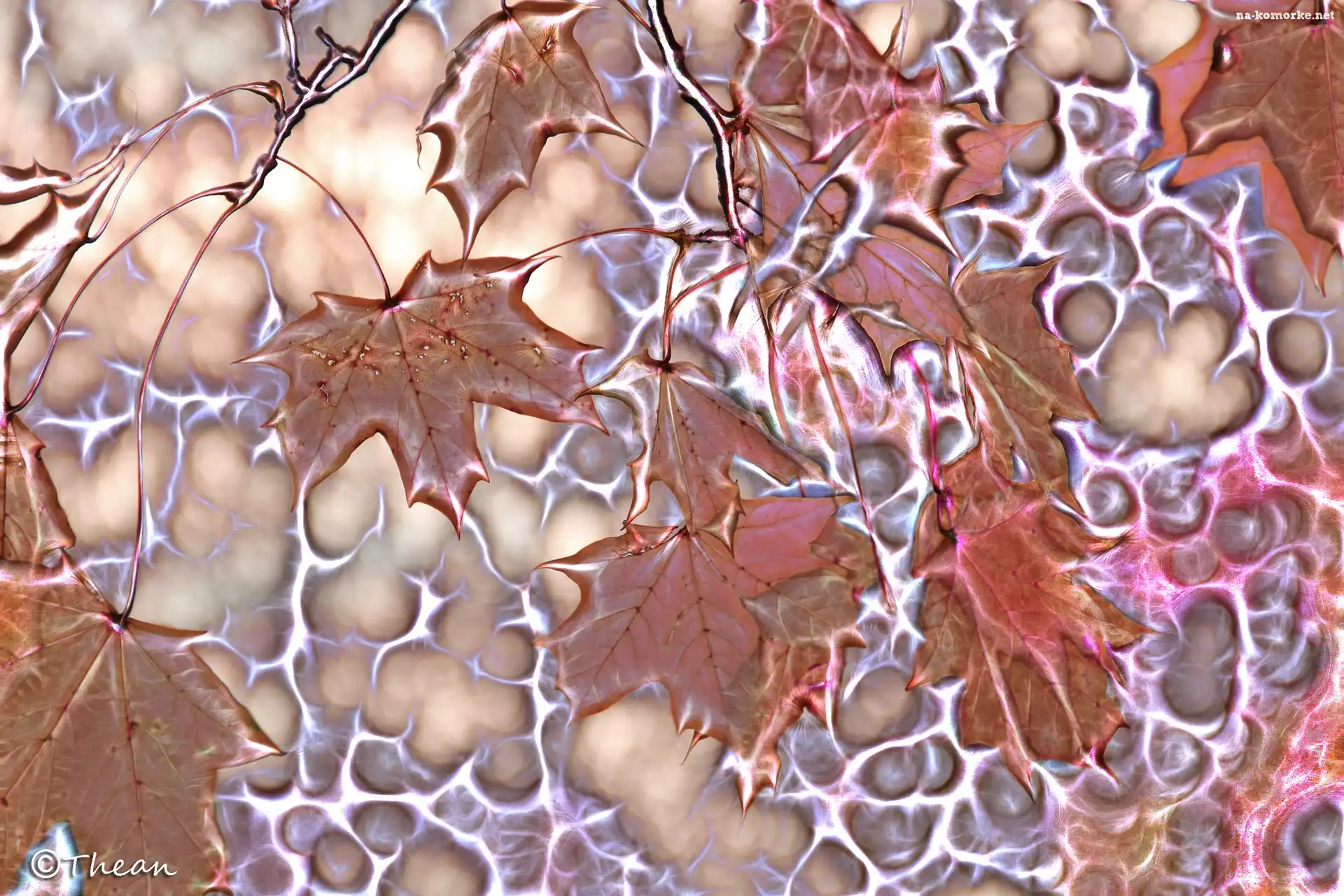 Liście, Klonu, Fractalius
