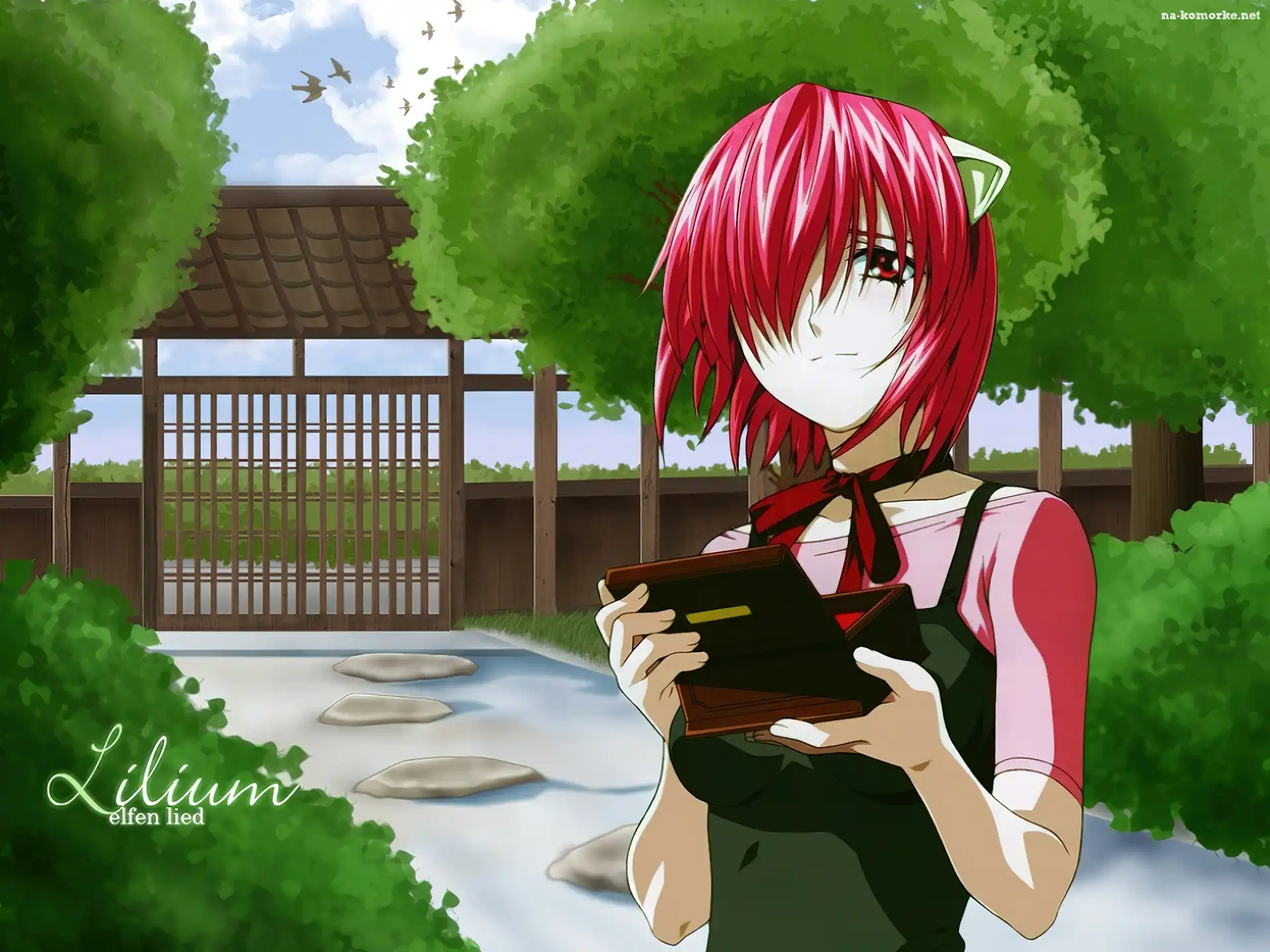 kobieta, Elfen Lied, pudełko, brama, ptaki