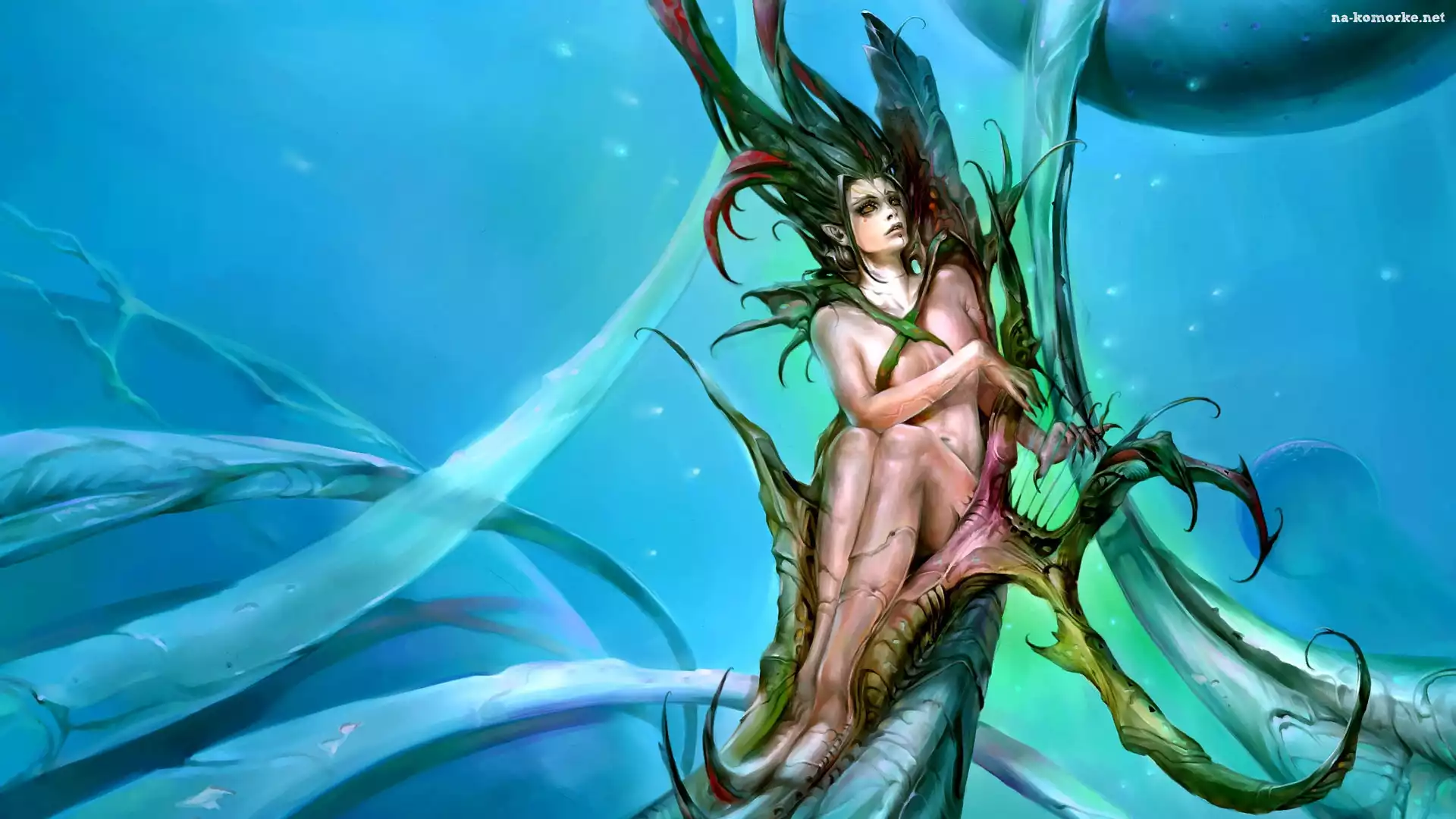Kobieta, Fantasy