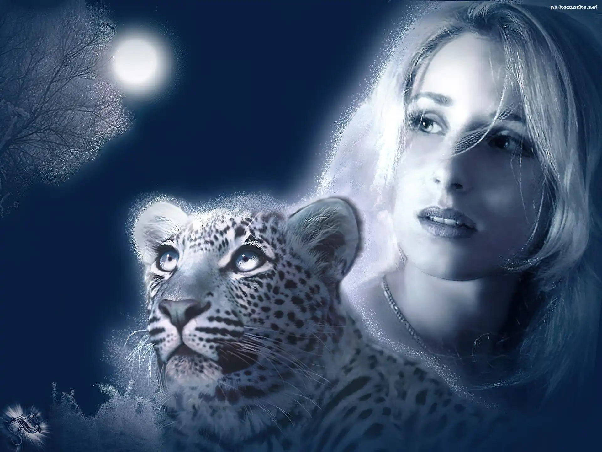 Gepard, Kobieta, Noc