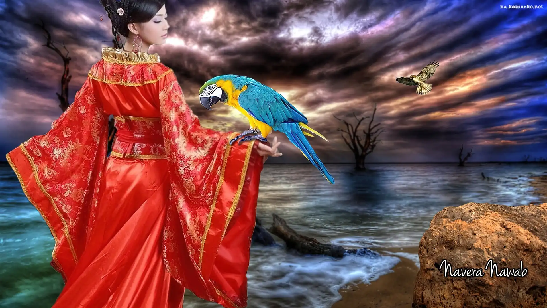 Papuga, Morze, Kobieta, Kimono
