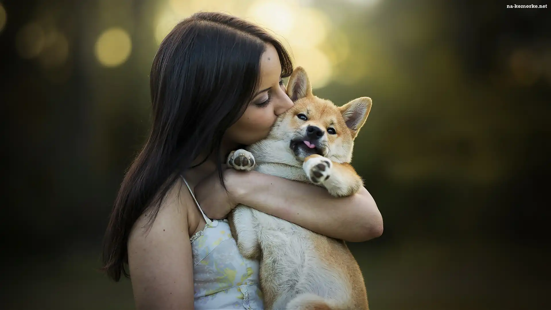 Kobieta, Przyjaciele, Pies, Shiba inu