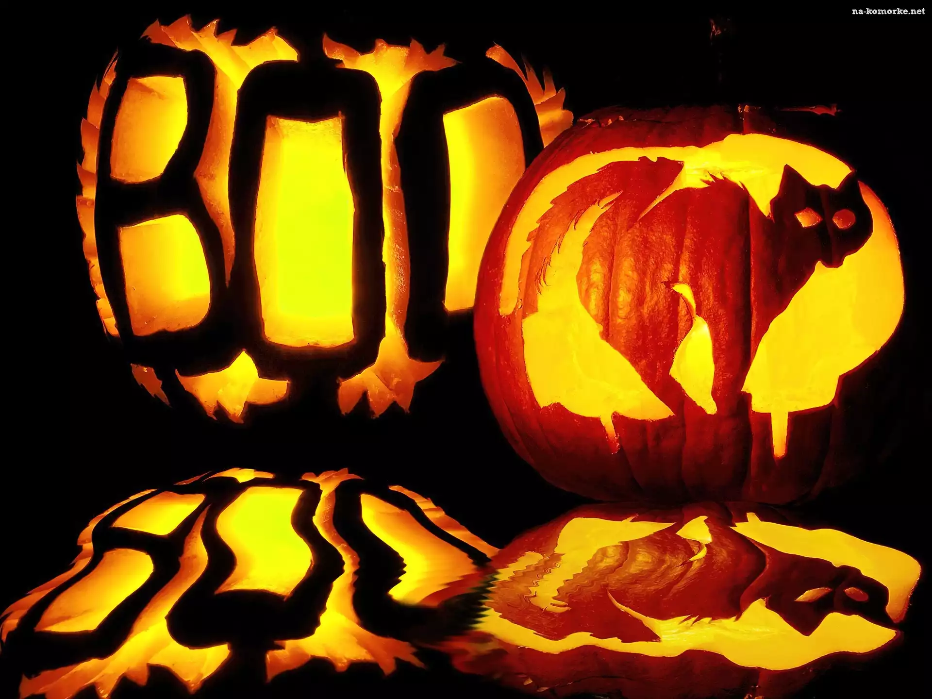 Halloween, kocia dynia