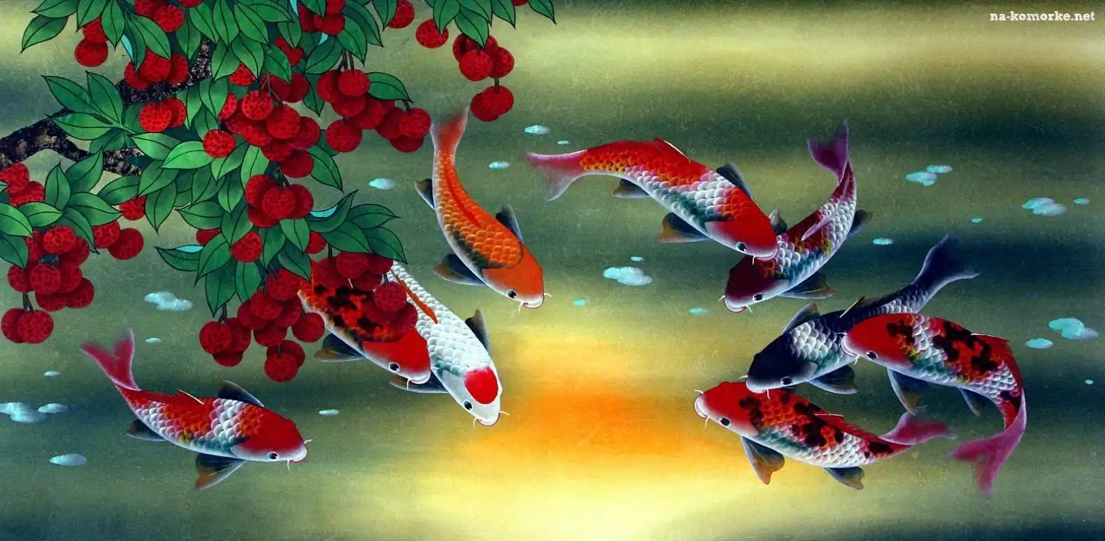Ryby, Koi, Rośliny