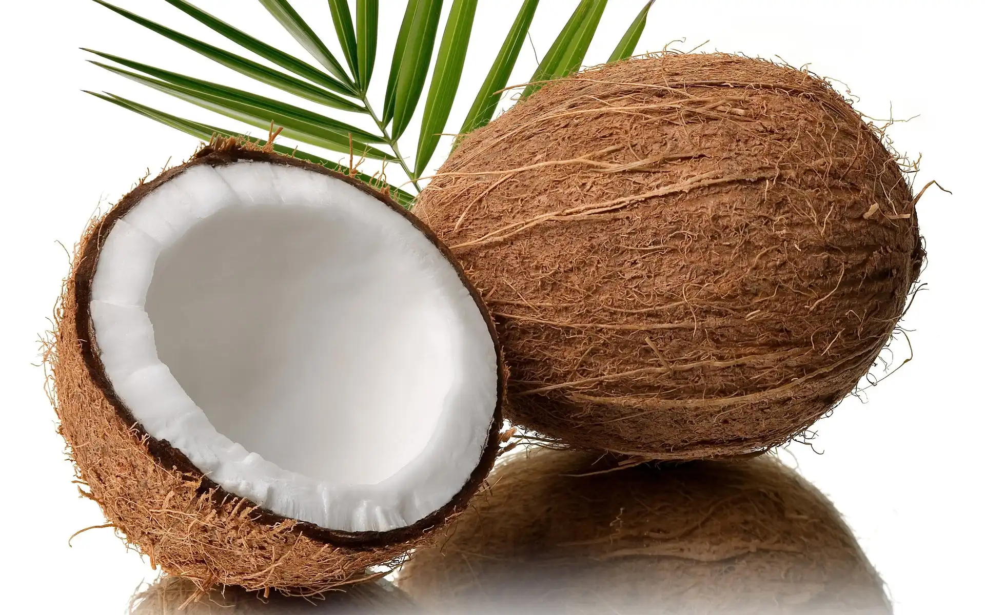 Kokos