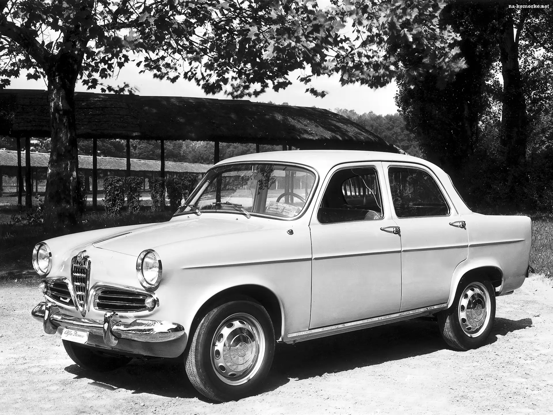 opony , koła , Alfa Romeo, zderzak, światła, maska