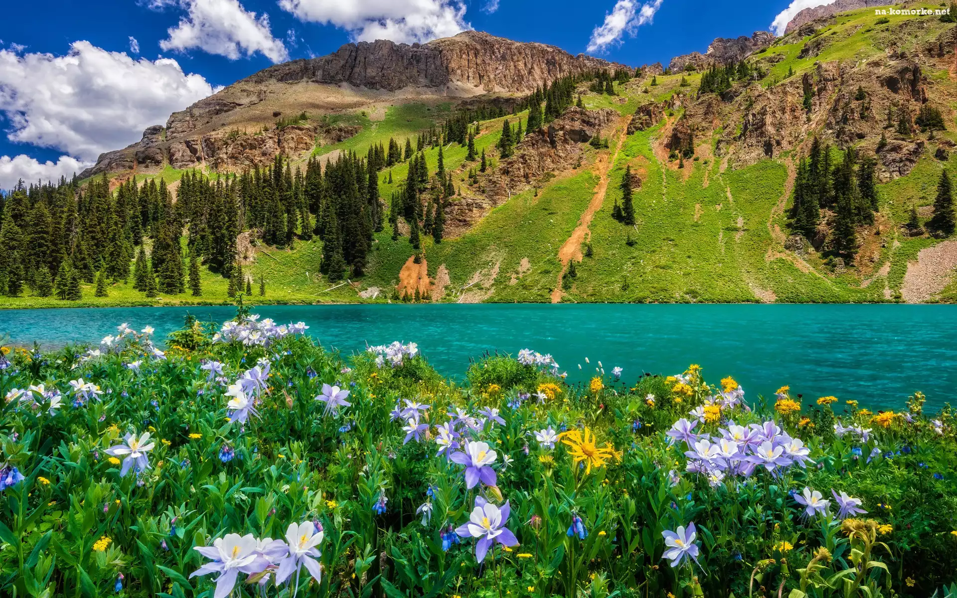 Sneffels Range, Góry, Stany Zjednoczone, San Juan Mountains, Niebo, Łąka, Jezioro, Blue Lake, Drzewa, Kwiaty, Lato, Kolorado