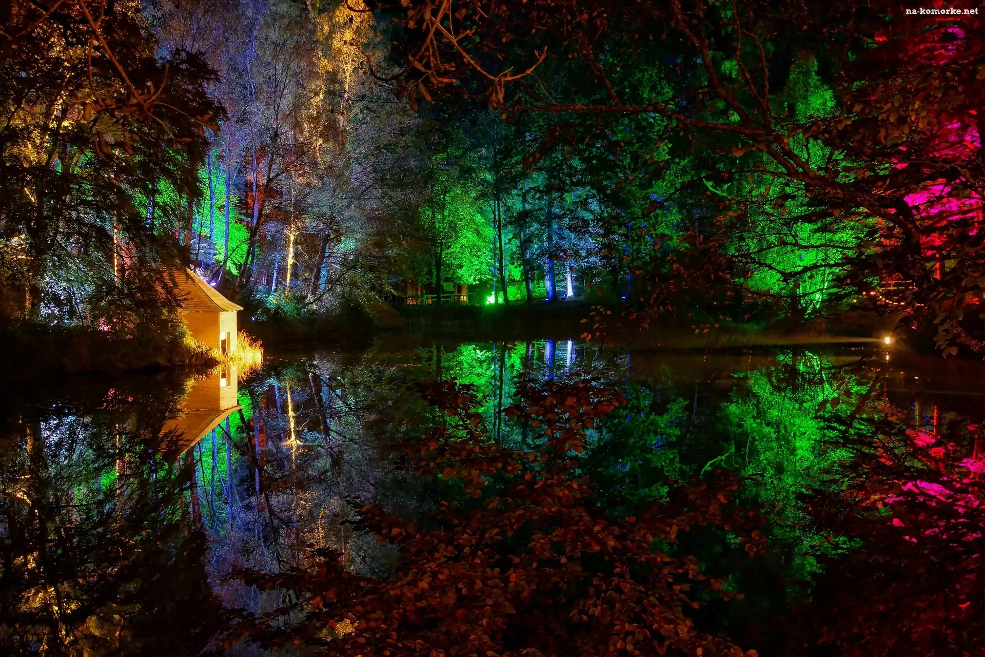 Kolorowe, Staw, Park, Noc, Altanka, Światła