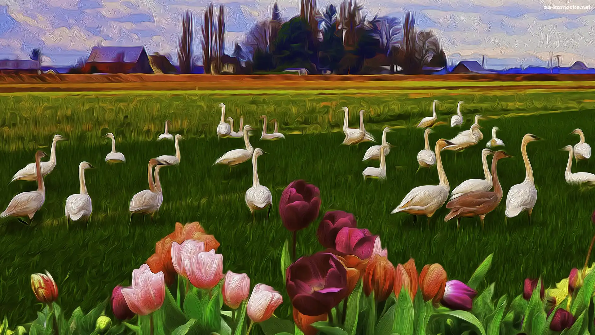 Kolorowe, Ptaki, Grafika, Trawa, Łąka, Drzewa, Domy, Kwiaty, Tulipany